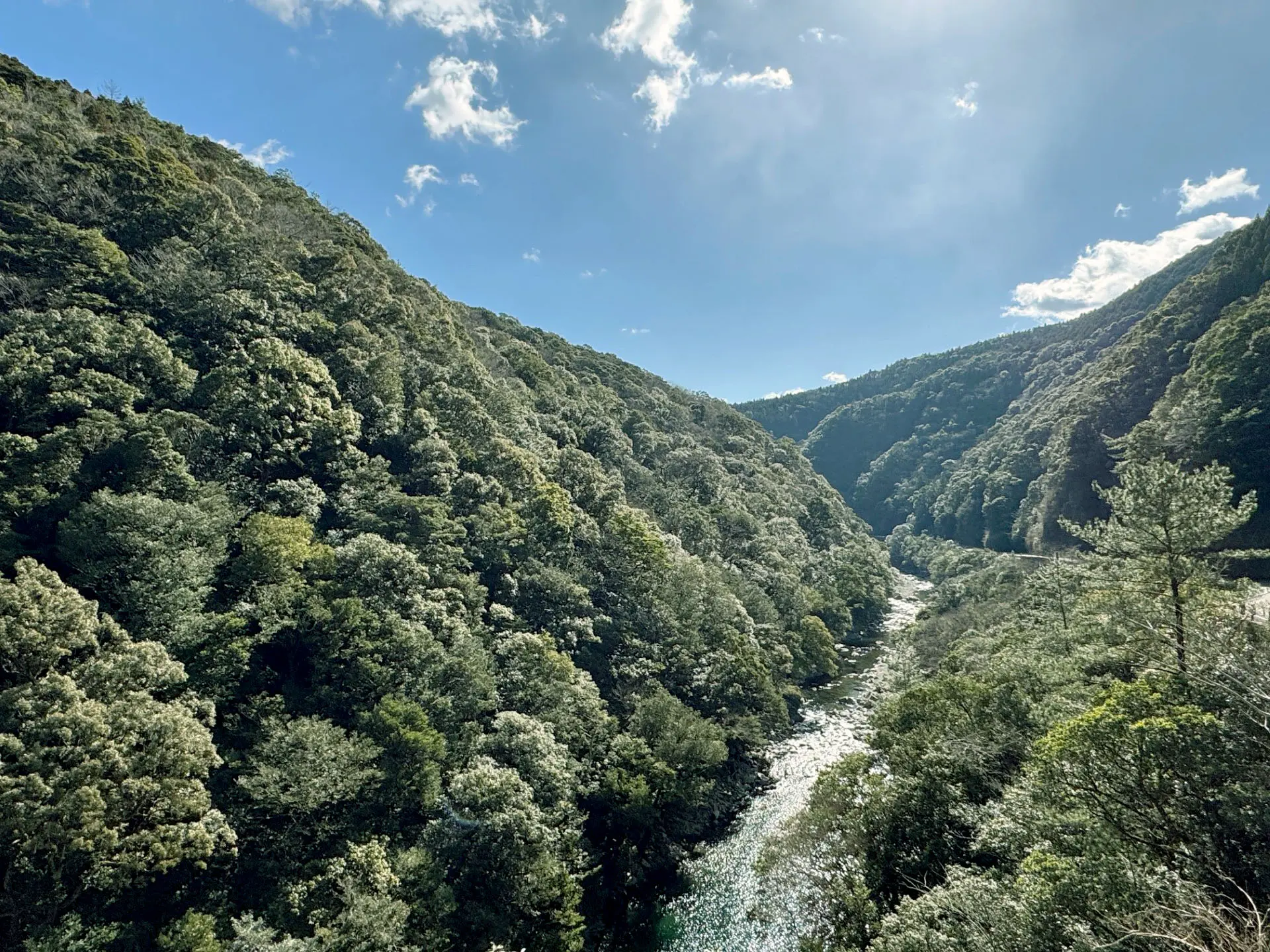 綾の原生的な照葉樹林と清流