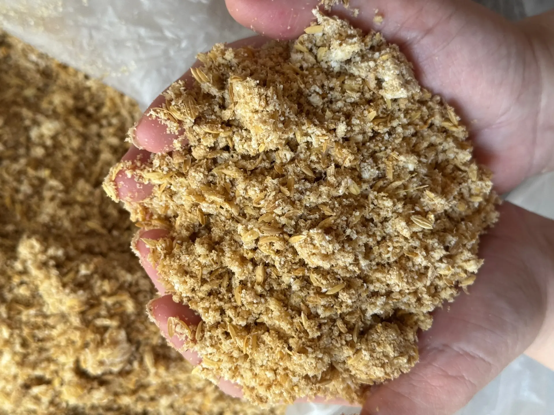 手作りの醗酵飼料